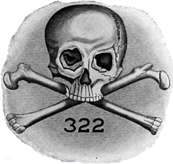 Bones_logo.webp
