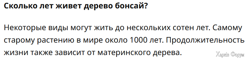 бонсай.png
