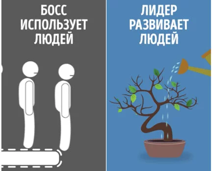 boss_lider_servis_wrike.webp