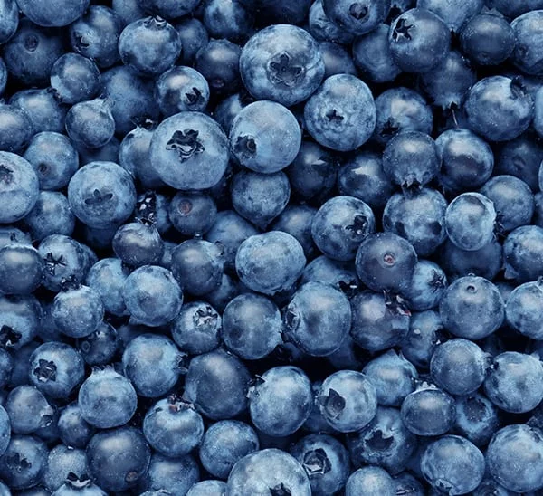 bountiful-blue-blueberries-1494928778.webp