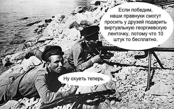 boVzciDS5zI.webp