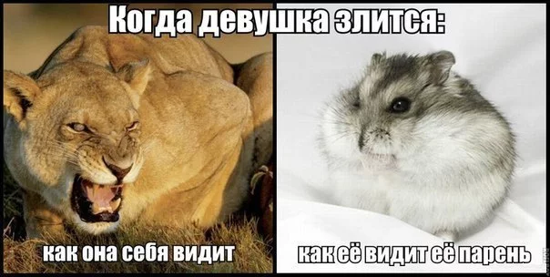 bpmx0fvtVByC.webp