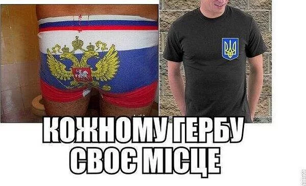 Bqf2lPRIgAAGu3Q.webp