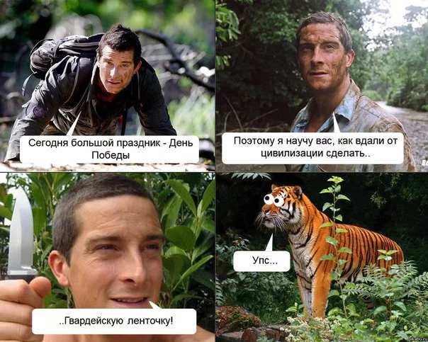 bR5Yb4MxXb8.webp