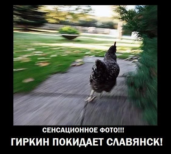 BrxhhCWCMAEtG3-.webp