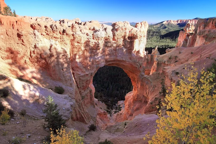 bryce-canyon-natural-bridge-2014.webp