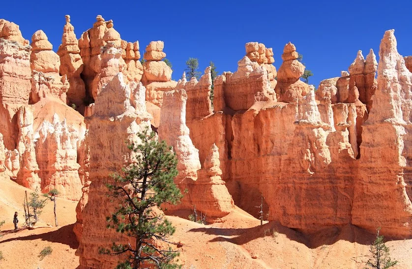 bryce-canyon-queen-victoria-2.webp