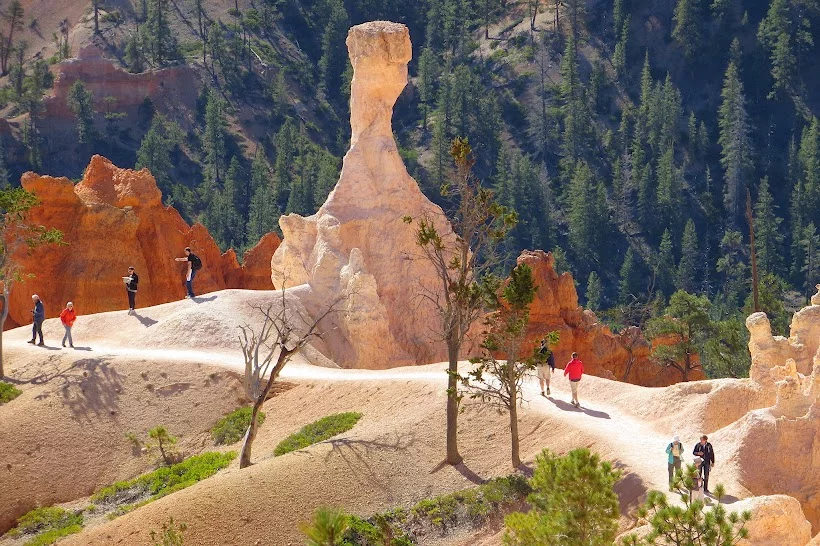 bryce-canyon-queens-garden-trail2.webp