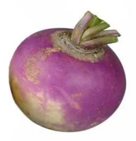 bryukva.webp
