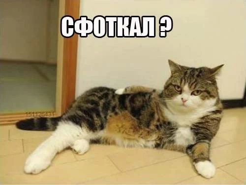 Bs3U4ahrgvk.webp