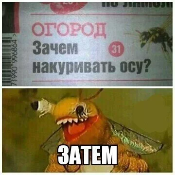 BsoPbrAolRI.webp