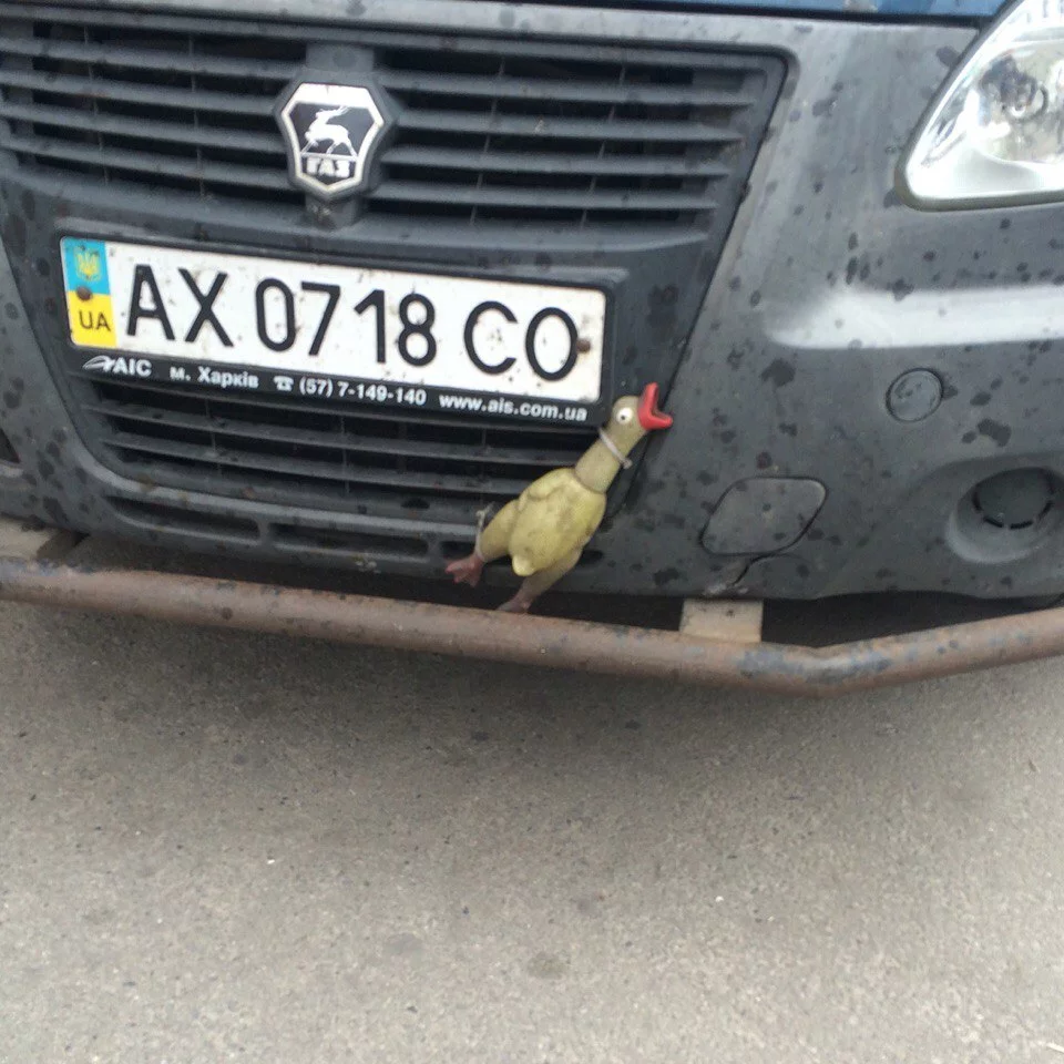 BSVkyLLb4Qs.webp