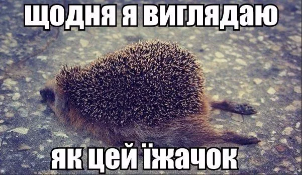bSxltLyESlM.webp
