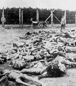 buchenwald.webp