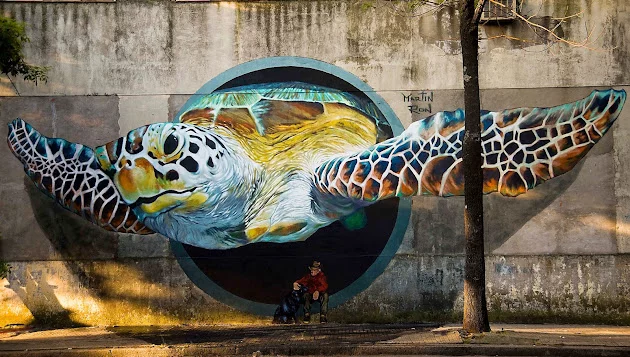 buenos%2Baires%2Bgraffiti%2Btour%2Bturtle%2Bmural.webp