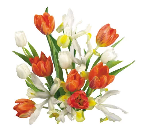 buket_63_small.webp