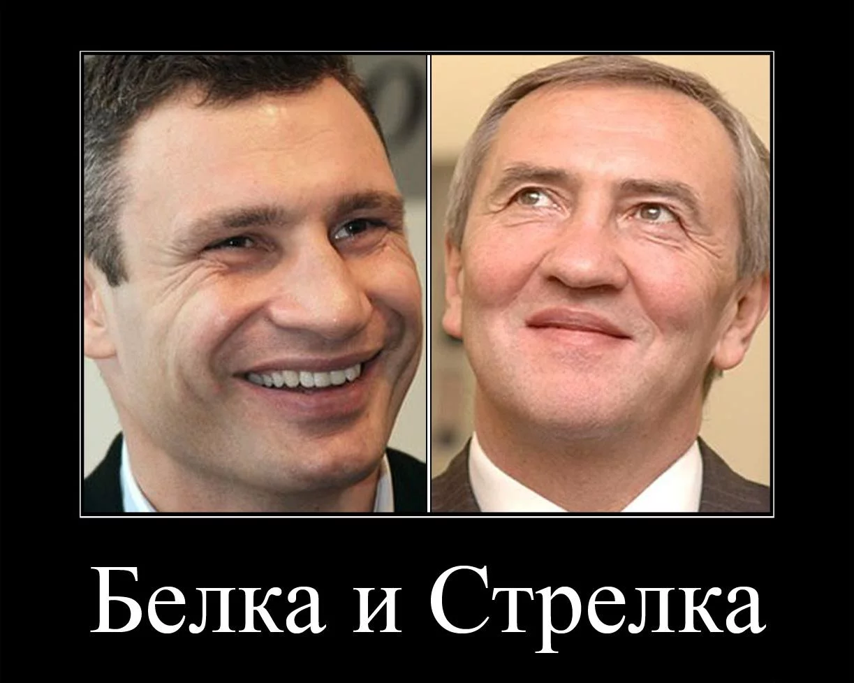 BuLprg3IUAA9oA7.webp
