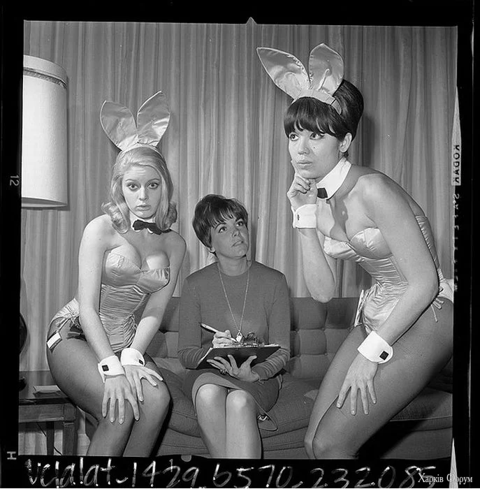 bunny_038.webp
