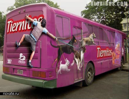 bus4.webp