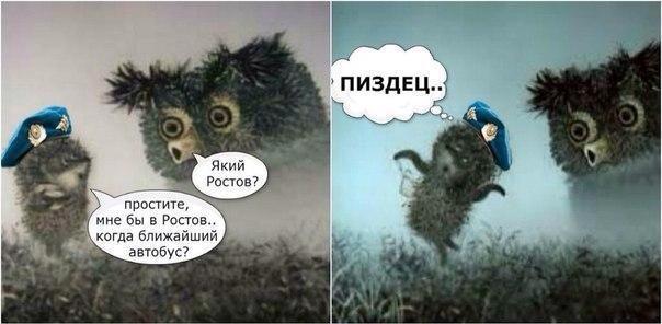 Bv_GbAaCcAA85Bl.jpg