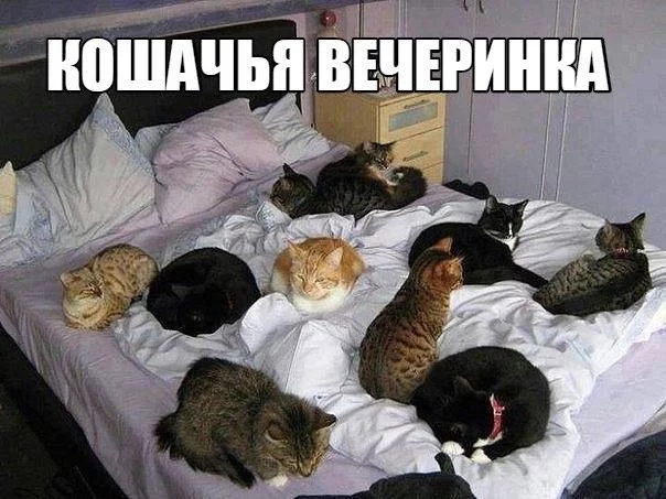 BW1inMmu2rY.webp