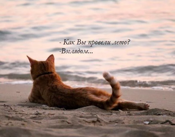 BwcWTUOCUAApt7o.webp
