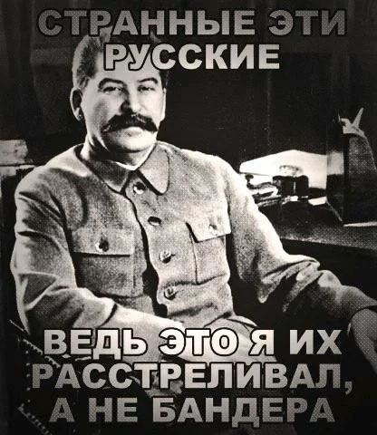 BwuBhSNCUAARpd3.webp