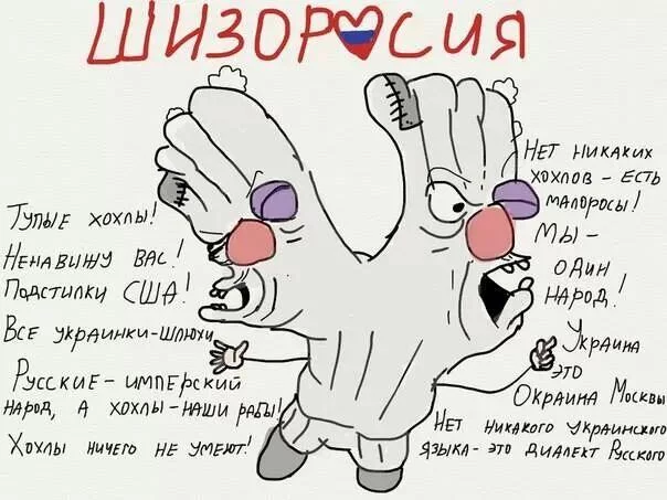 BYecy-9IUAA49km.webp