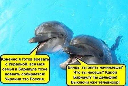 Byqh4NMCMAAqT2s.webp