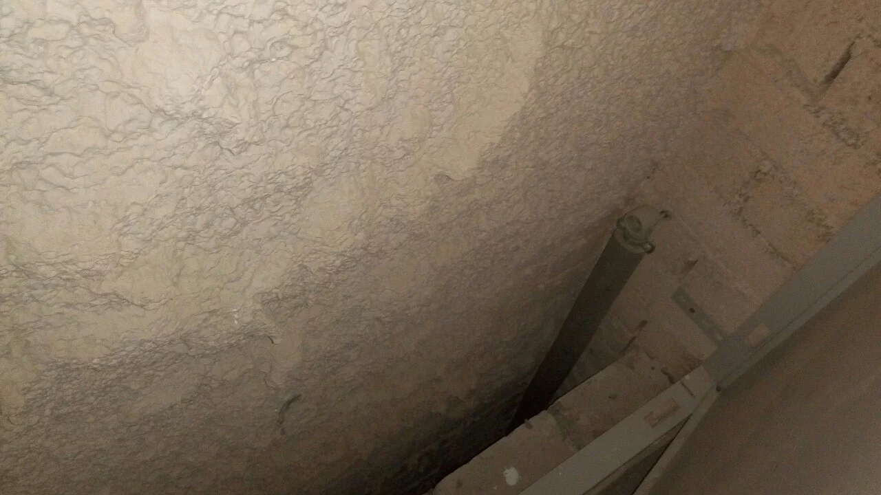 bYxA85iJSTc.webp
