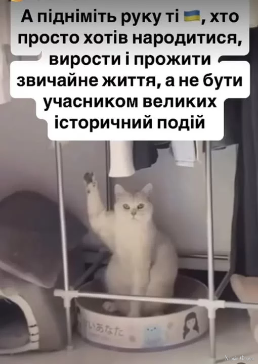 BZd35X7JQMPd0Z4&_nc_zt=23&_nc_ht=scontent.fiev28-1.webp