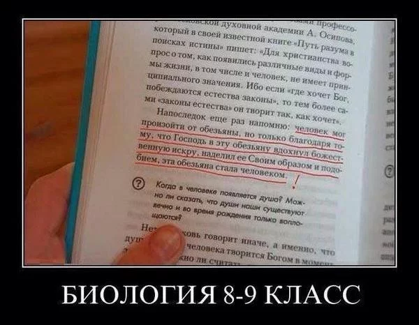 Bzj9tMEIIAAjf2D.webp