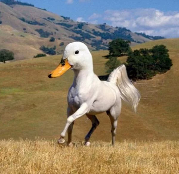 BzmWRELIAAEnS91.webp