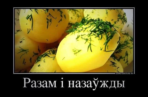 BzrDLHTIYAAoubD.webp
