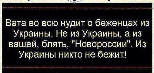 BzXKMc6IcAAUPii.webp