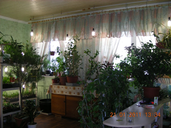 C%252520004.jpg