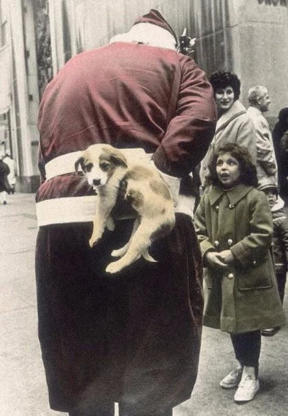 C-_wKL1GX9M.webp