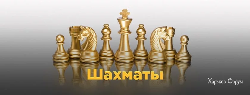 c0075da451119e79484550.webp