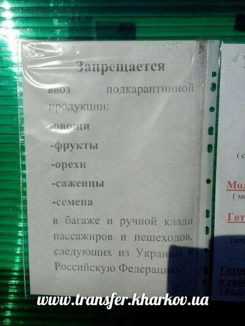 C00xMCzLbdM.webp