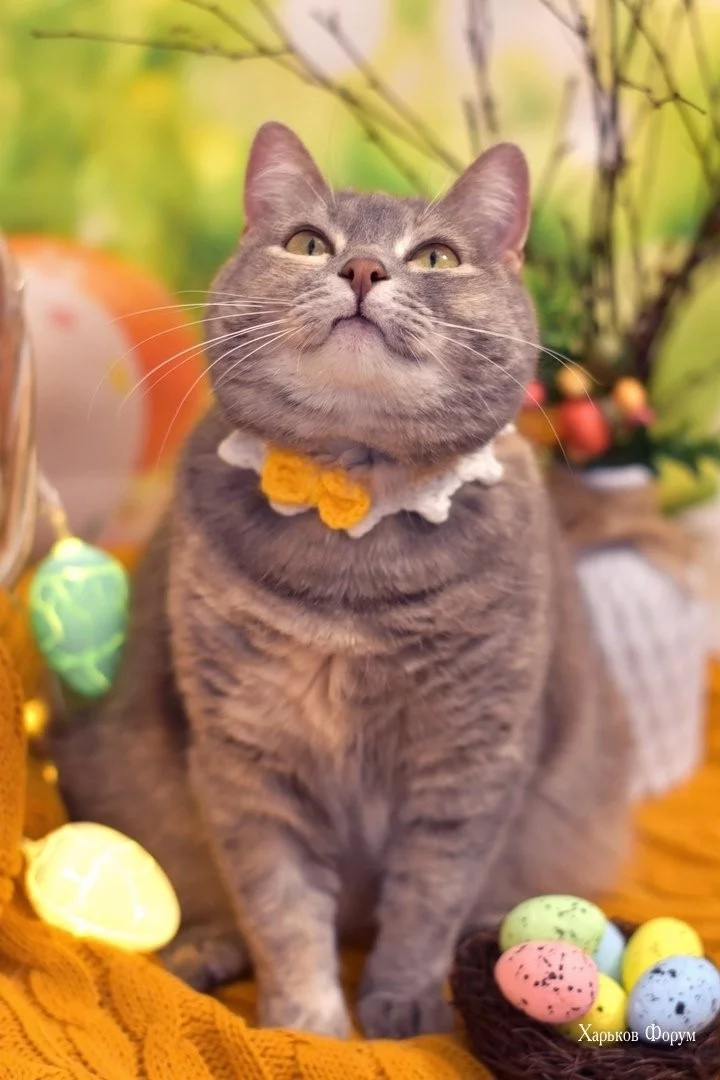 c01351b2530ba96d99.webp