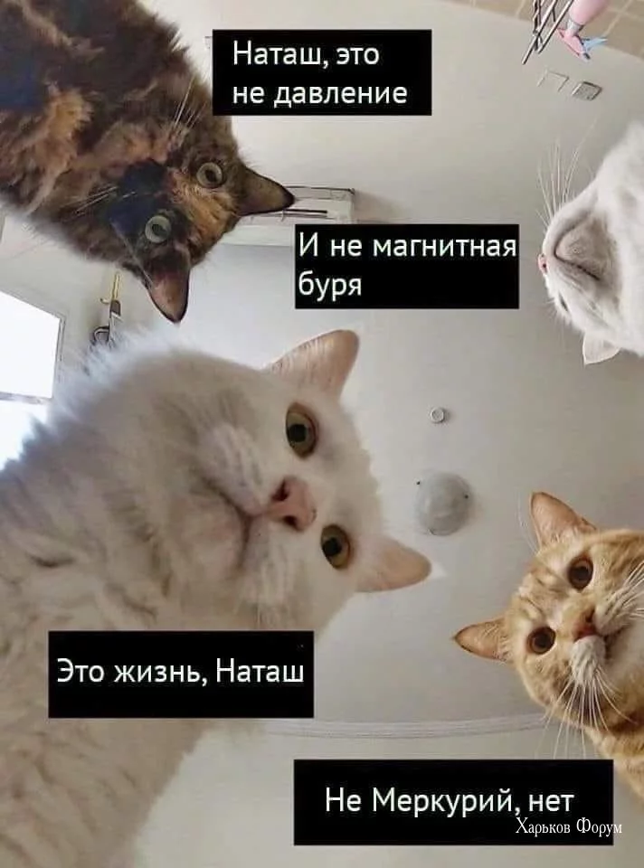 c01bb4eefb36ff93ae34f.webp