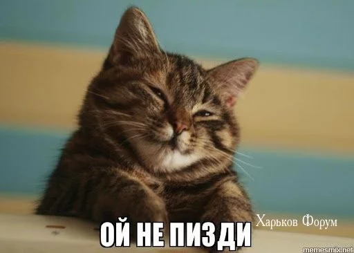 c01dc14c002d1561.webp