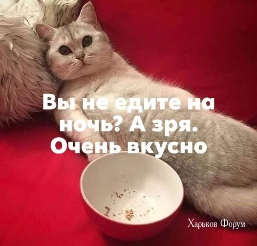 c0232a17731f111d.webp