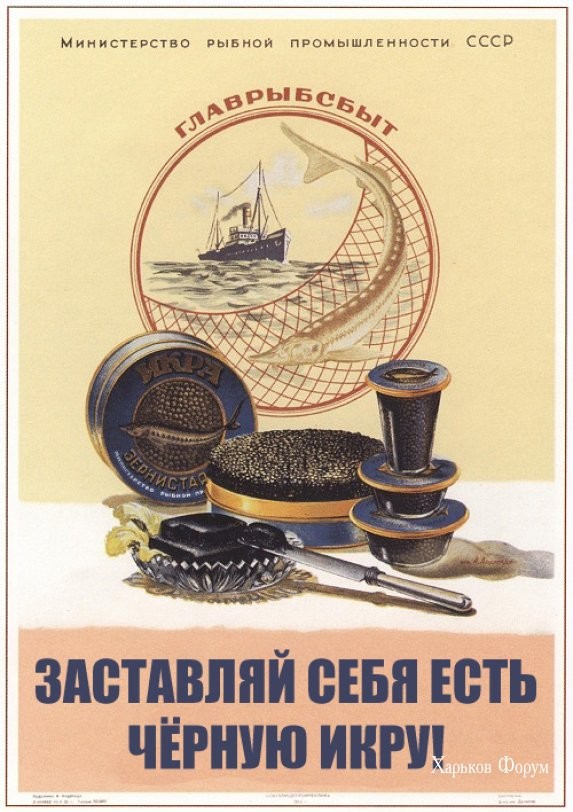 c0232eabac078d99.jpg