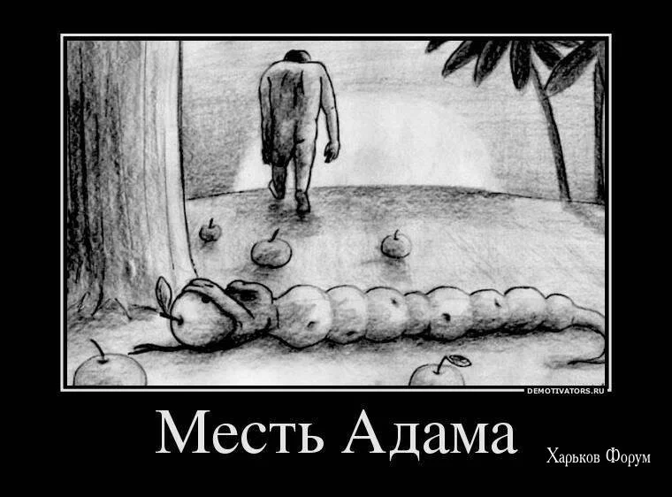 c02f4132501371cf99df.webp