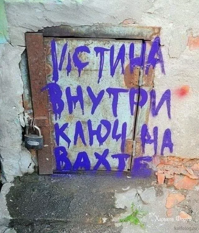 c043897ed04b1d4d6c6d6f6.webp