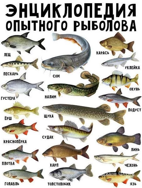 c0439257119e872858c.webp