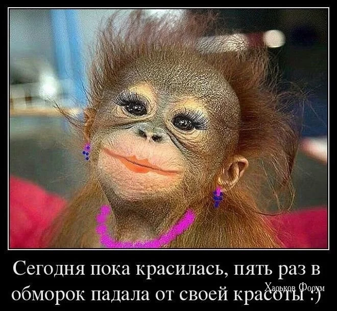 c04515ffdcc586b018abced.webp