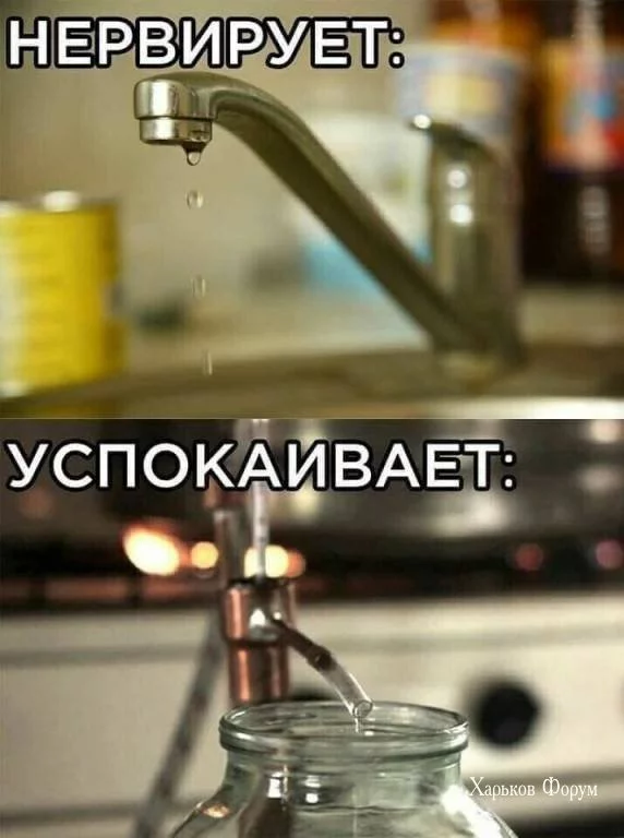 c04f2d697fe7ef07953.webp