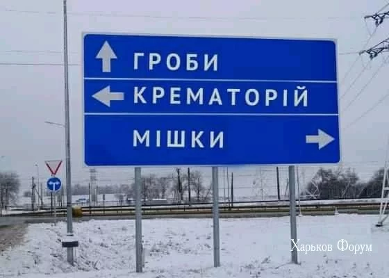 c04fe24d722e22c3d38896.webp